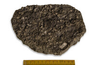 F 01381
<br/>
<br/>
<em></em>